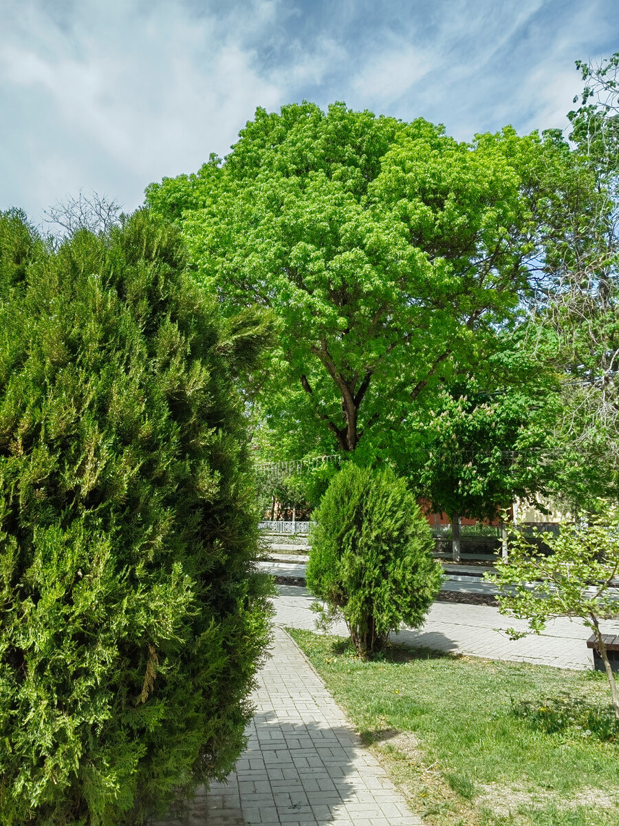 Вернулась к удлиненному каре. Очень жаркие дни и мой первый блогерский ...