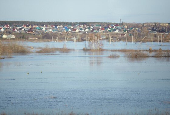    Разлив реки Тобол в Кургане