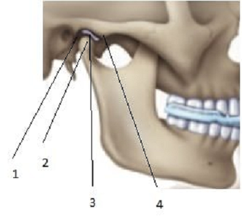 Что нужно знать о ВНЧС
