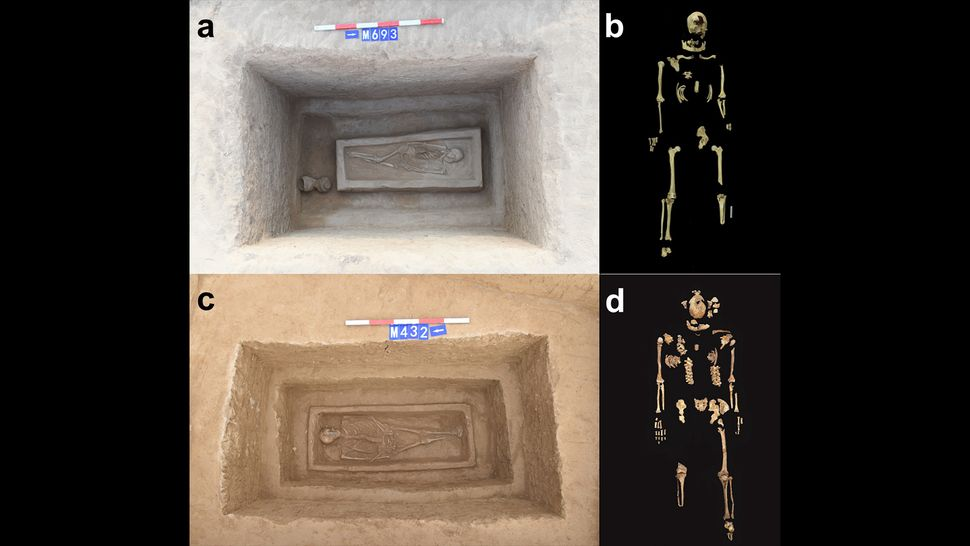Могилы и скелеты обоих мужчин.  (Изображение предоставлено: Qian Wang/Texas A&M University)