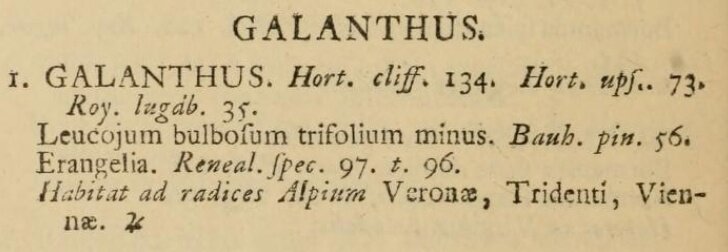 Описание подснежника в книге Карла Линнея «Species Plantarum» 1753 г.