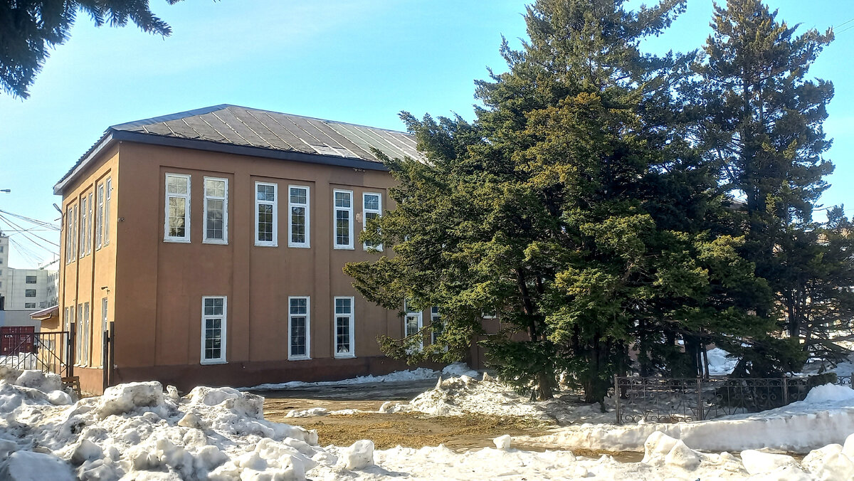 Листайте. Перед бывшей мэрией растут тисы, которым более 100 лет. 