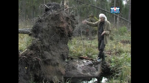 Наедине с природой. Валун под сосной | 2012