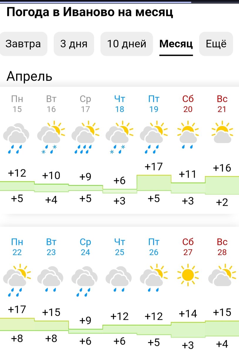 Рассада томатов в теплице, где всего +6 | Наталья37 и мой огород для души |  Дзен