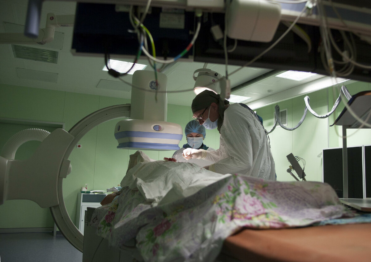 Фото: Nikolay Gyngazov/Russian Look/Global Look Press 