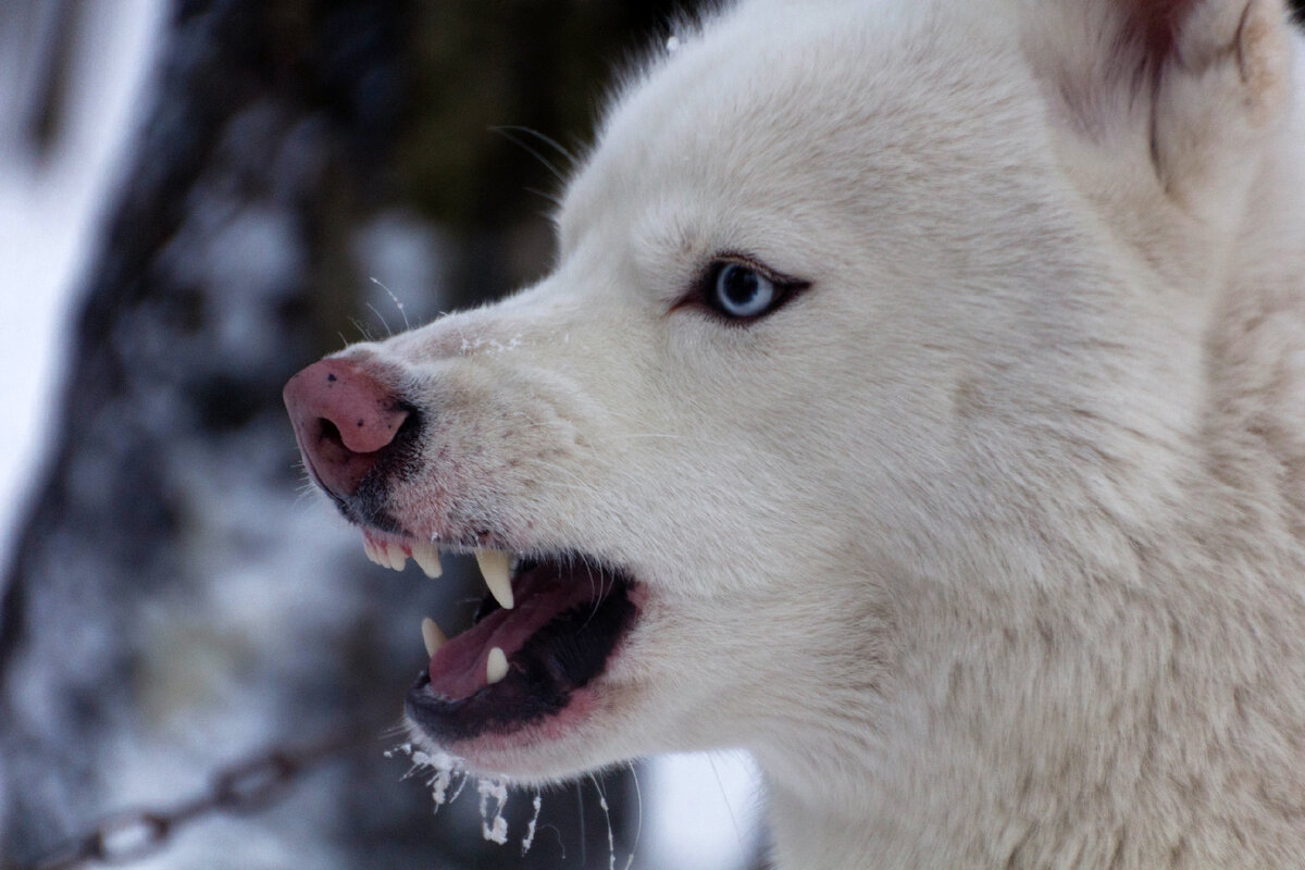 ФОТО: Komsomolskaya Pravda/Global Look Press 