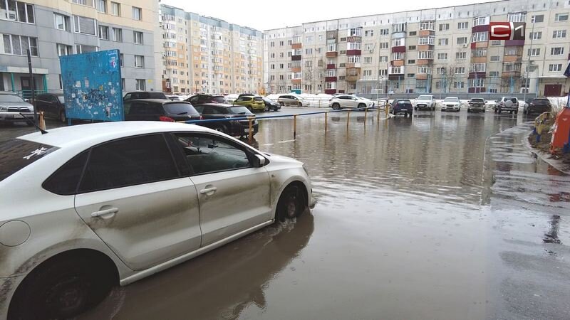    «Лужи во дворе? Пишите заявление»: власти Сургута напомнили, как воздействовать на УК