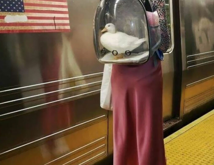 Фотографии смешных ситуаций в метро в Америке