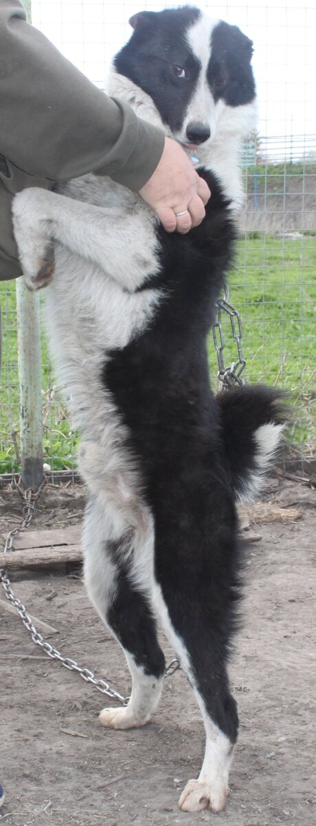 -Я не мелкий, я не дрыщ!