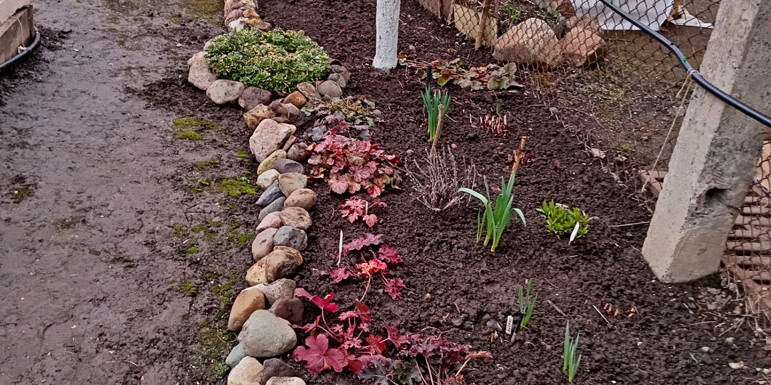 Первые работы по благоустройству нашего участка проведены. И впереди еще планов громадье.