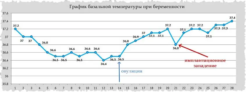 Какой график у беременных Базальная температура при наступлении беременности: зачем ее оценивают и как она