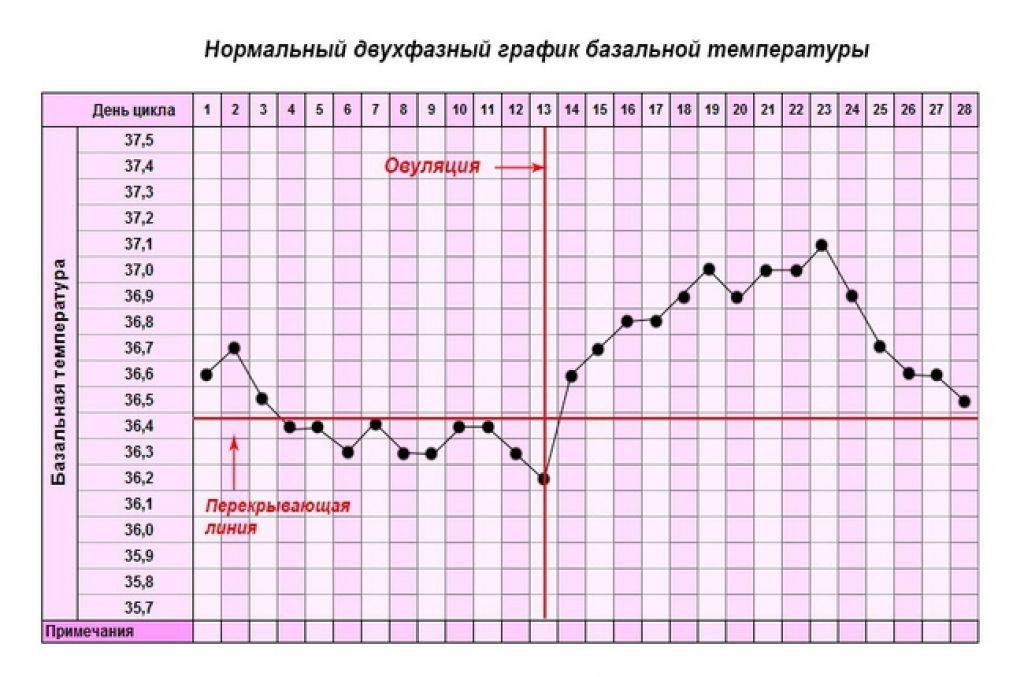 Базальная температура – это особый способ определения температуры тела в покое, сразу же после ночного сна.-2