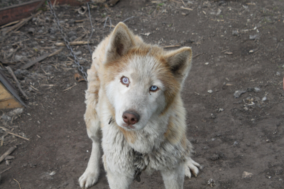 Что ты смотришь? Дай вкусняшку!