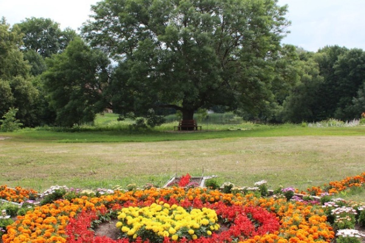    Тут бывал Поленов.