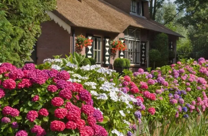 Фото ADICO Inc., DBA Backyard Garden Lover