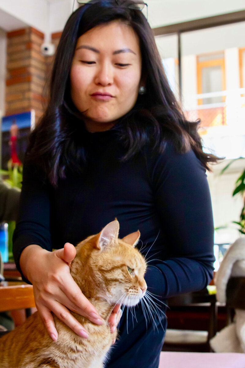 Что будет, если придет кот? 