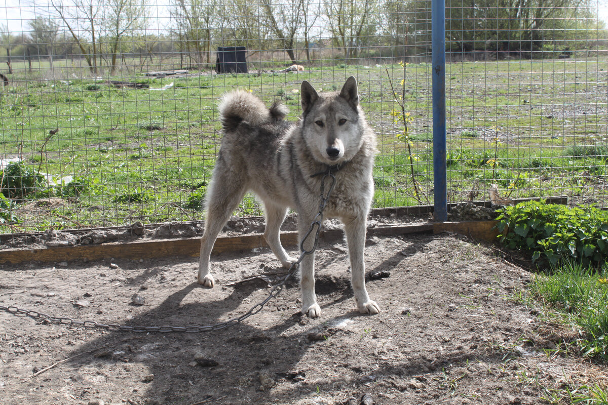 Не смотрите, я стесняюсь!