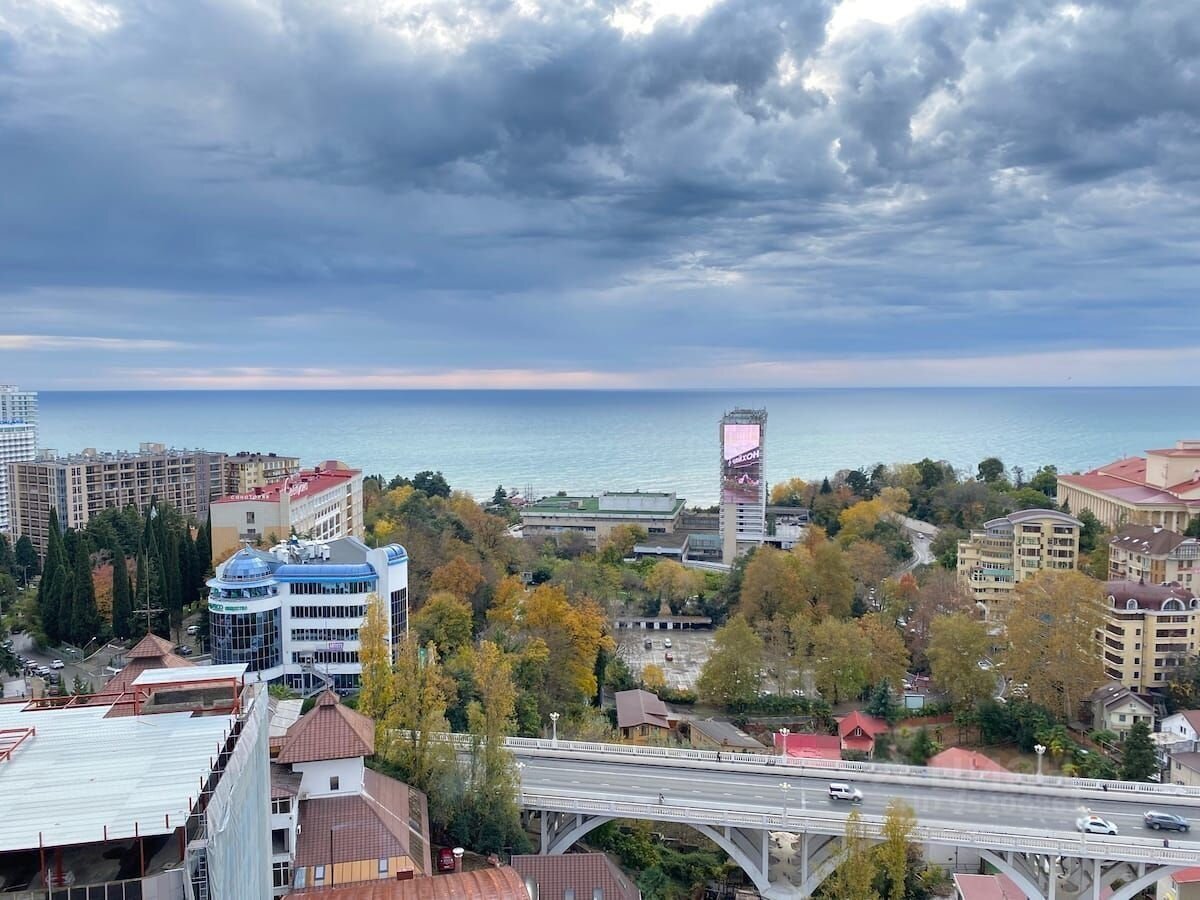 Светлана - сердце Сочи: Все секреты самого популярного района города | Про  Cочи | Дзен