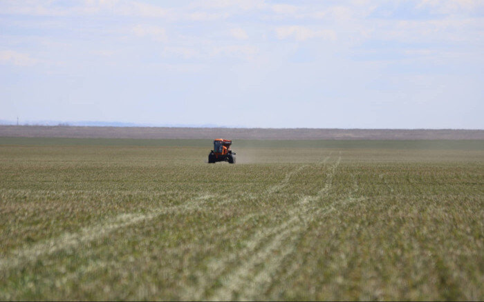    Оренбургские аграрии приступили к подкормке озимых культур Кристина Просвиркина
