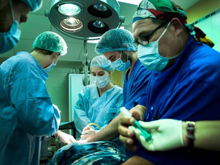 Фото: пресс-служба городской многопрофильной больницы №2, г. Санкт-Петербург