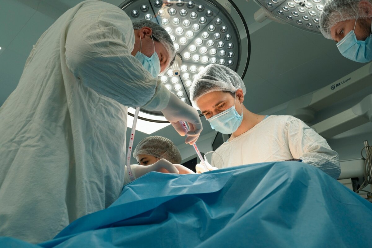 Фото: пресс-служба правительства Ленинградской области