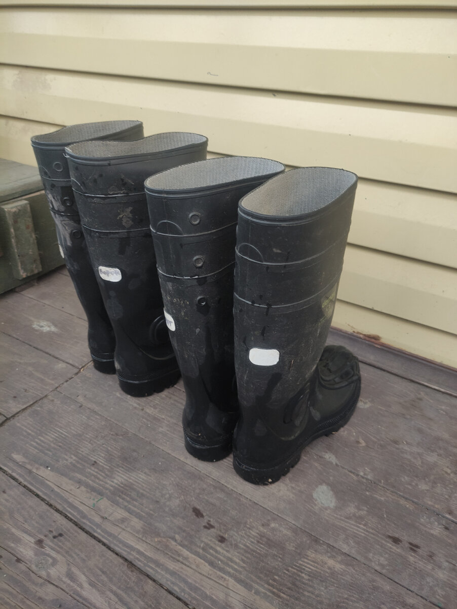 Наши с мужем сапоги)) Мне до колена почти.