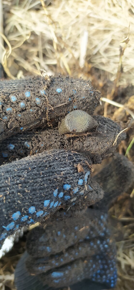 Удалось поднять сломанный напёрсток.