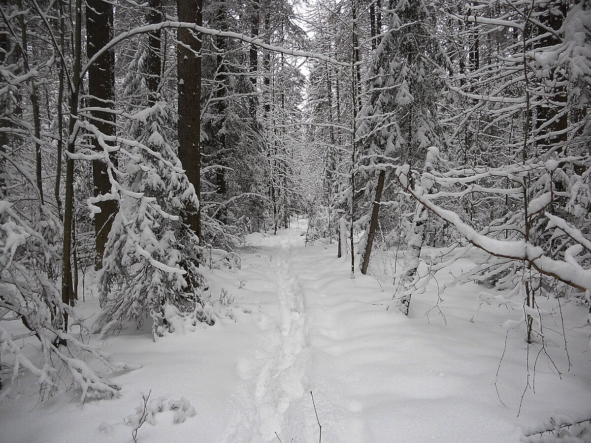 фото из интернета