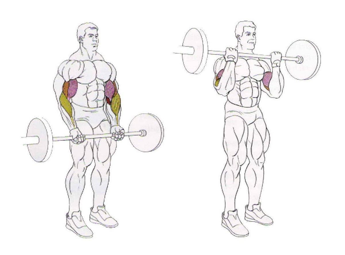 Подъем прямого грифа. Подъем штанги на бицепс стоя. Тяга подъем на бицепс штанга. Упражнение на бицепс подъем штанги стоя. Обратный подъем штанги на бицепс.