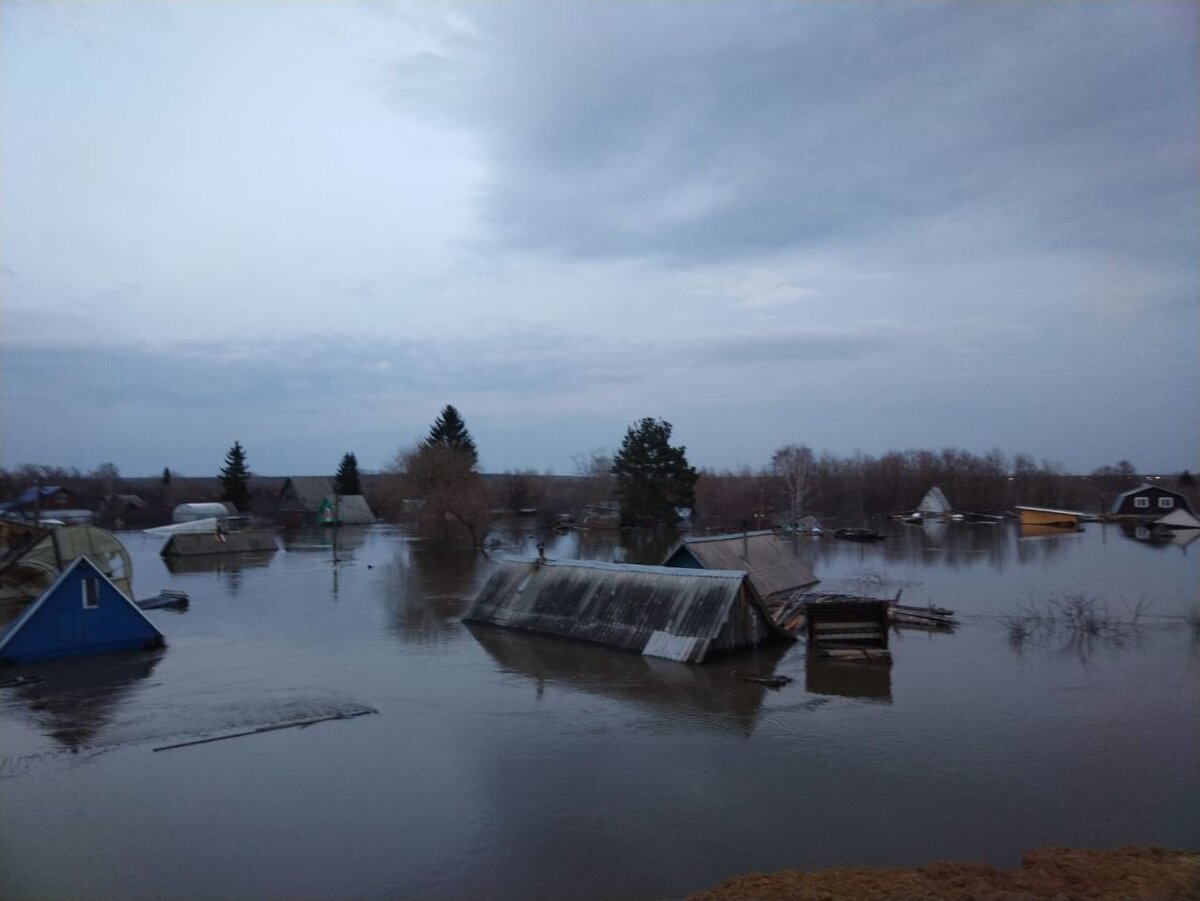 Фото: телеграм-канал губернатора Курганской области Вячеслава Шумкова