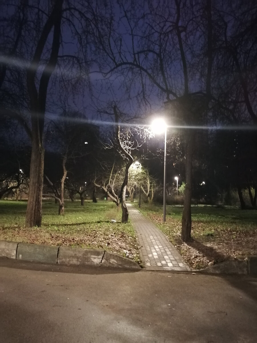Днём в этом саду я никогда не была