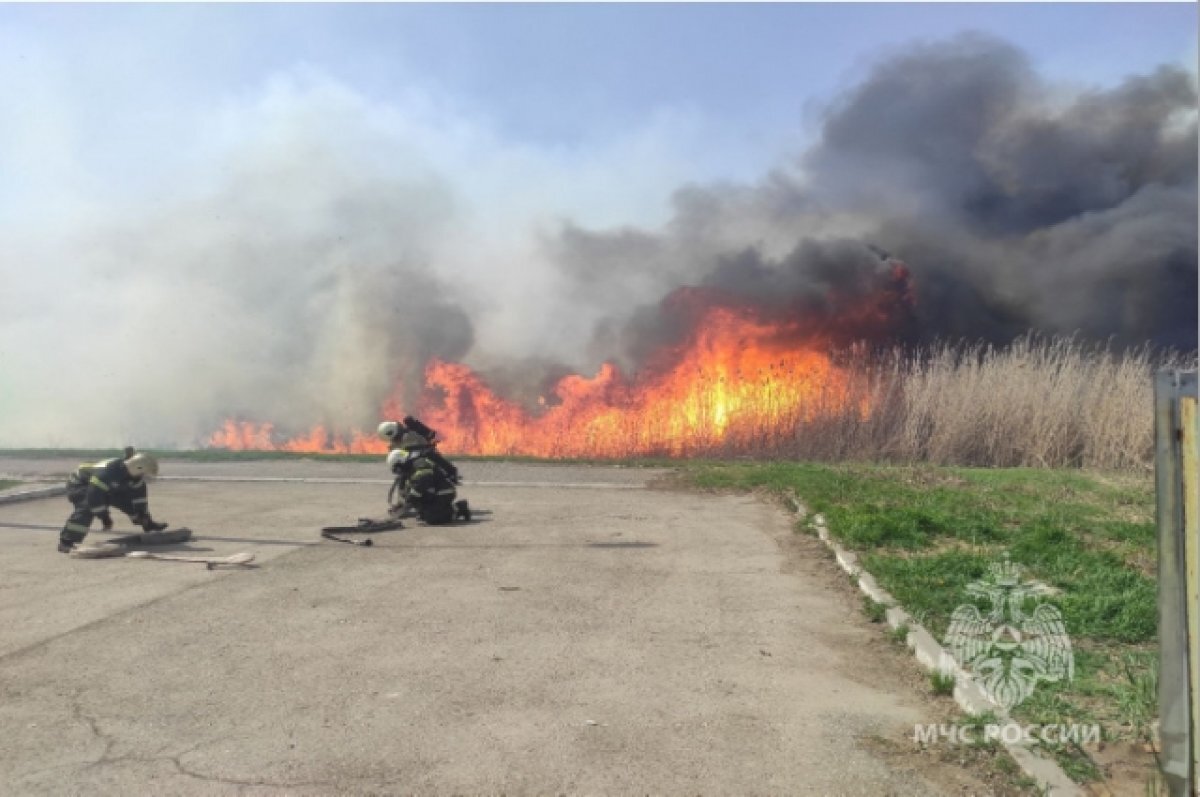    Не пыльная буря: после возгорания камыша Астрахань накрыл запах гари