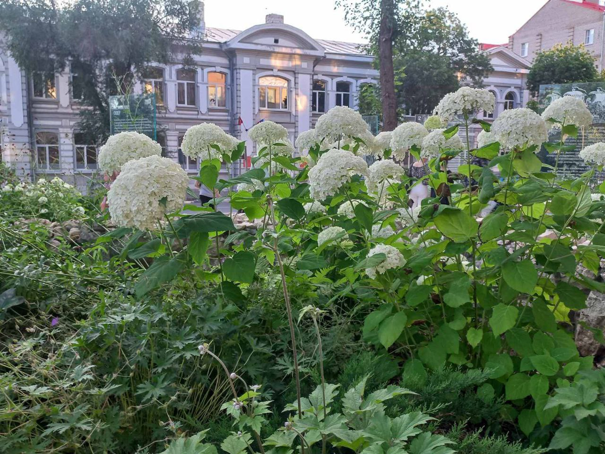 Фото автора.