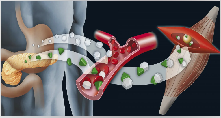 Яндекс.Картинки