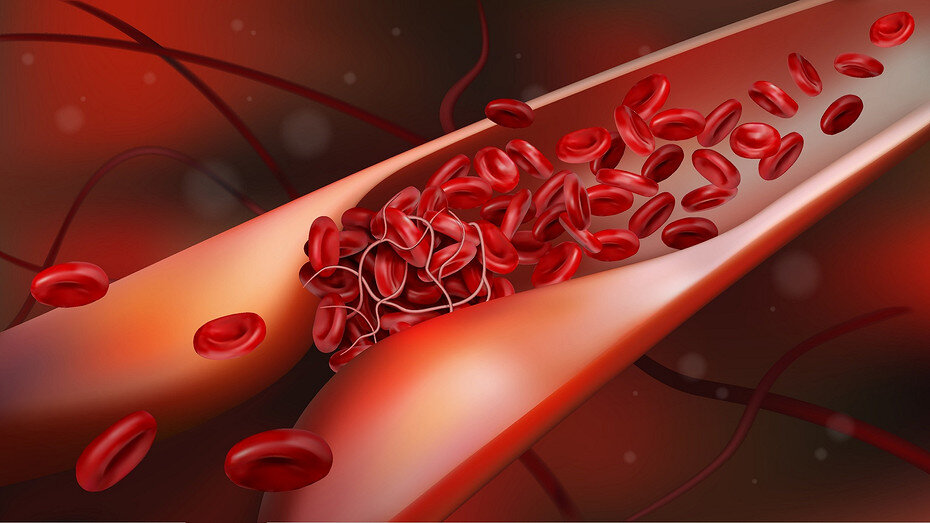     Источник: здесь и далее ShutterStock/Fotodom.ru