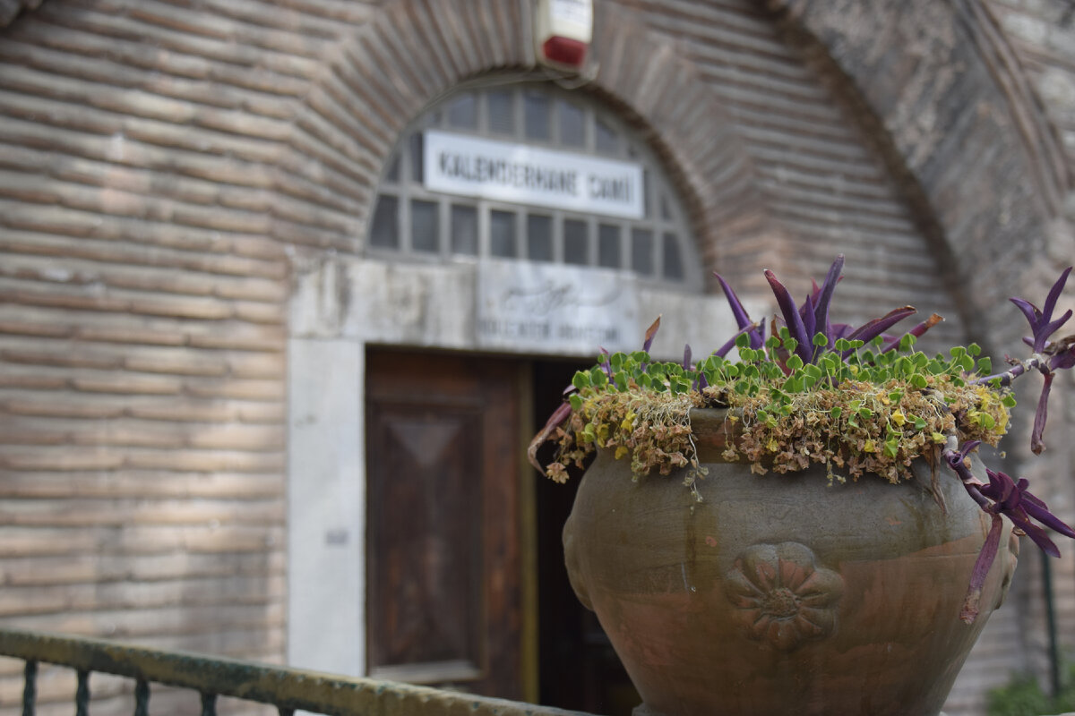 Уже со входа у меня закралось подозрение. Заброшенные клумбы, раньше аккуратно стоявшие столы и лавки, сейчас  выглядят так. как будто из случайно забыли