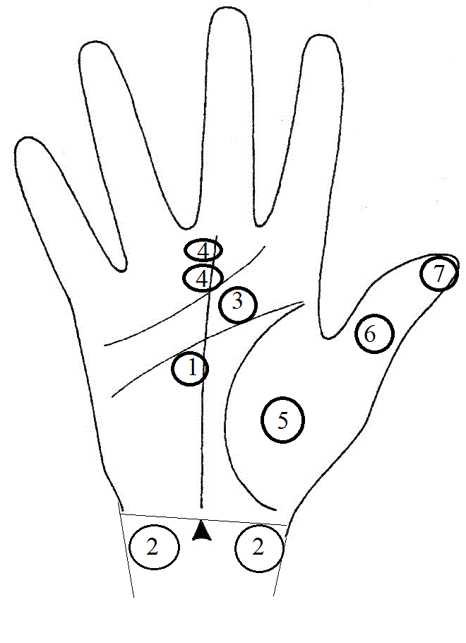 1 - первая чакра Муладхара; 2 - вторая чакра Свадхистана; 3 - третья чакра Манипура; 4 - четвертая чакра Анахата; 5 - пятая чакра Вищудха; 6 - шестая чакра Аджна; 7 - седьмая чакра Сахасрара. 