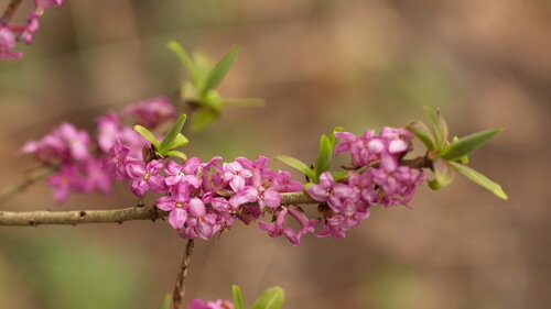 Фото Вячеслава Юсупова