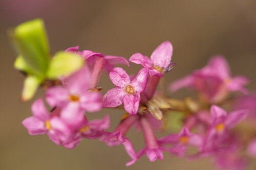 Фото Вячеслава Юсупова