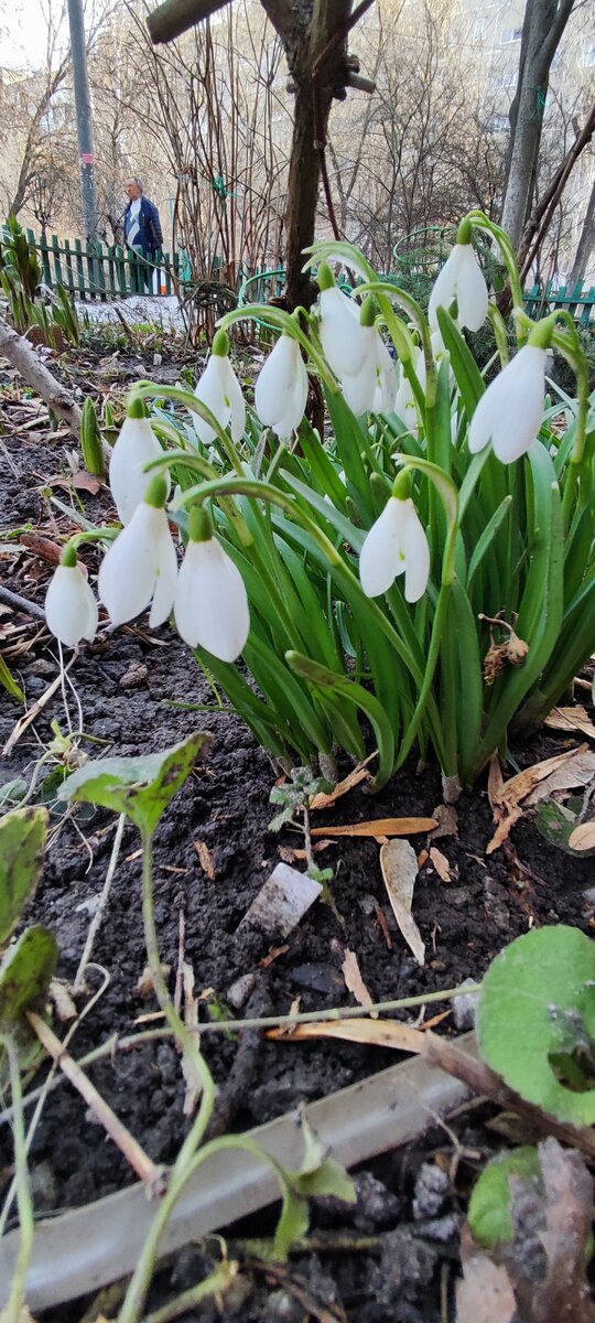 В городе НН