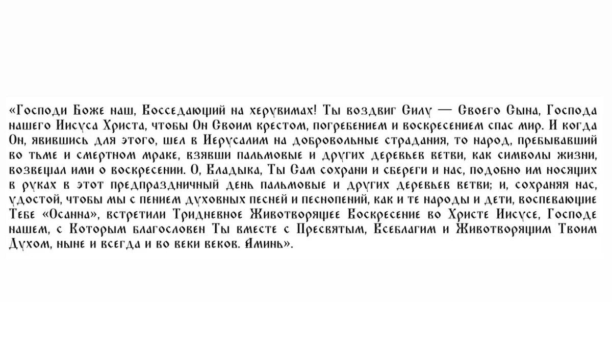 Вербное воскресенье 2024: что можно и нельзя делать, три чудотворных молитвы  – магические вербные приметы и обряды | Драга.Лайф | Дзен