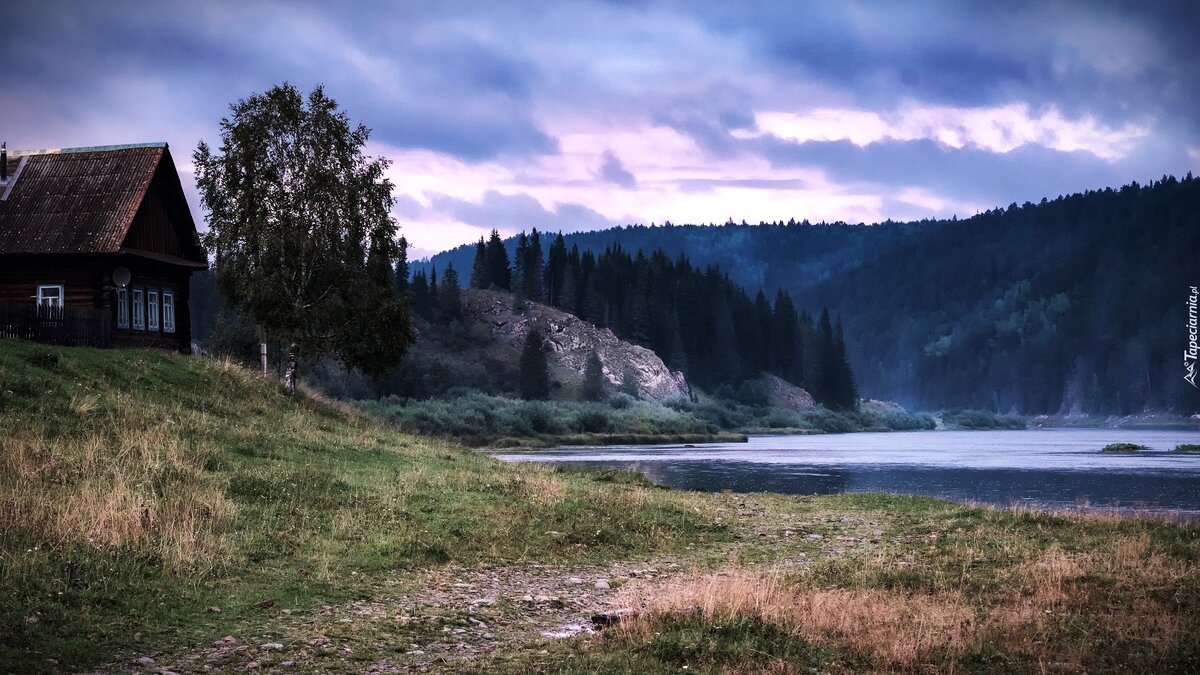 Яндекс. Картинки.