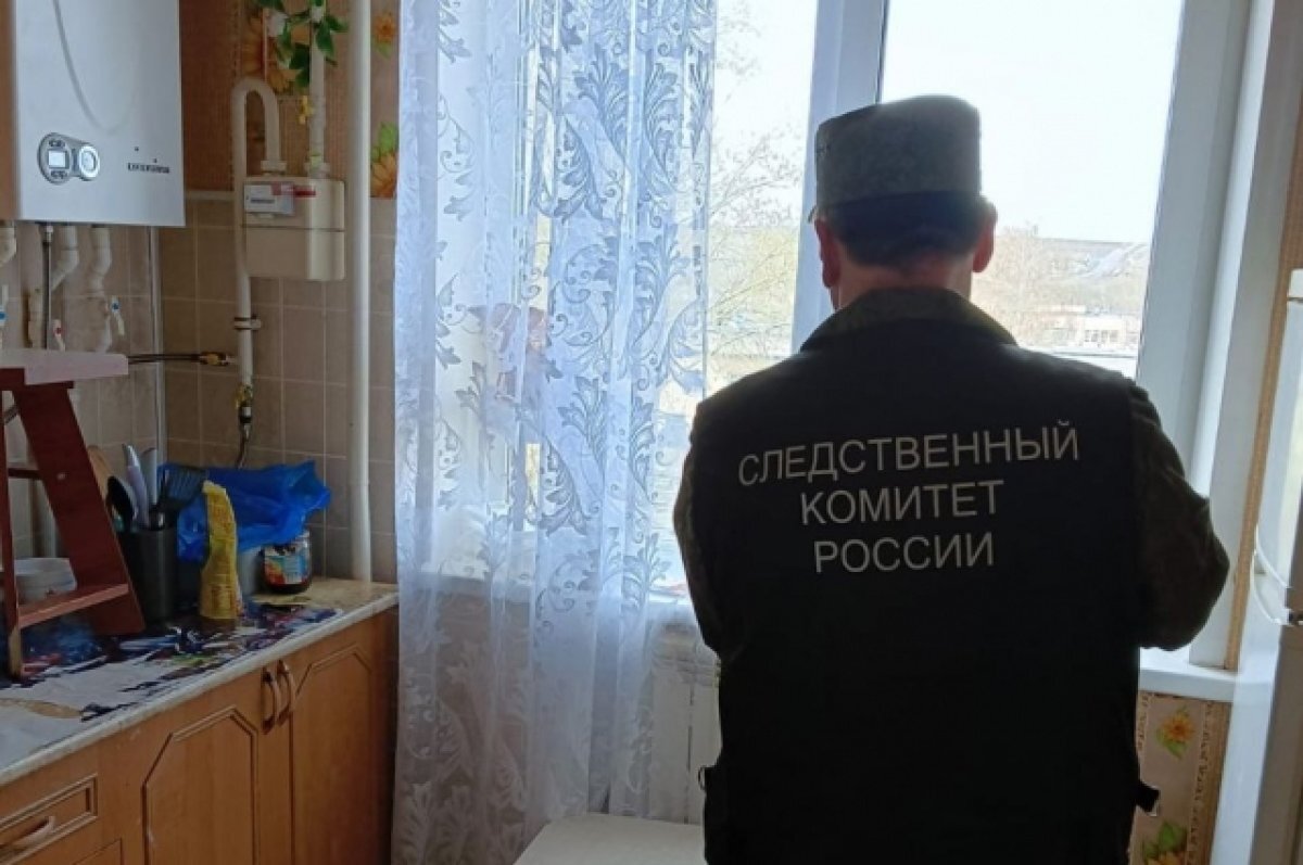    Под Пензой начали проверку по факту смерти годовалого ребенка после падения