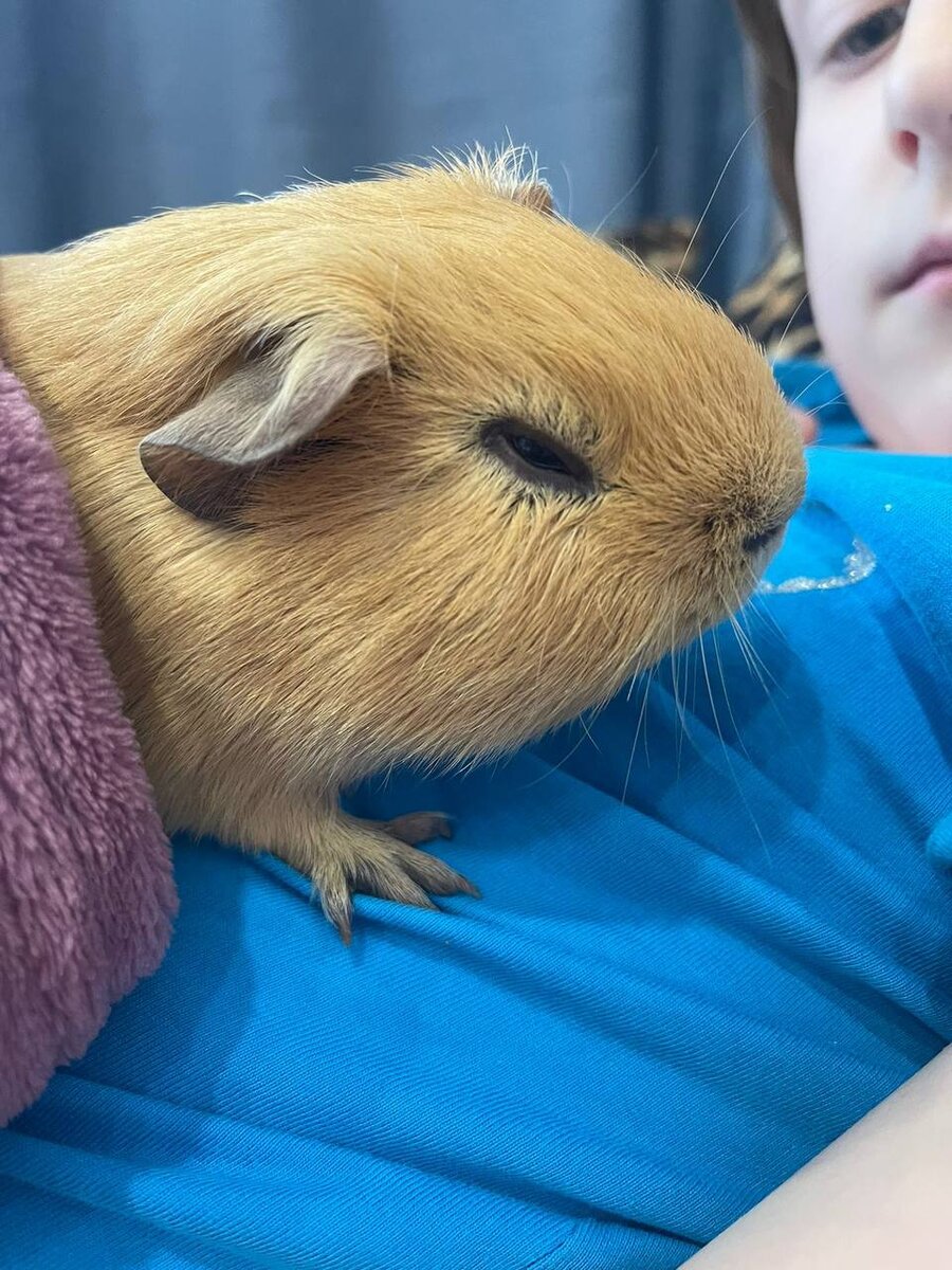 Мартин заболел весьма внезапно