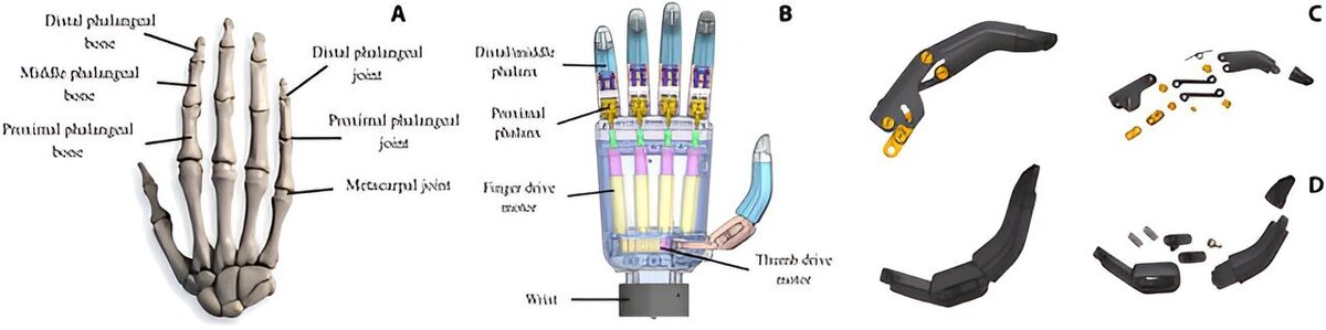    Cyborg and Bionic Systems