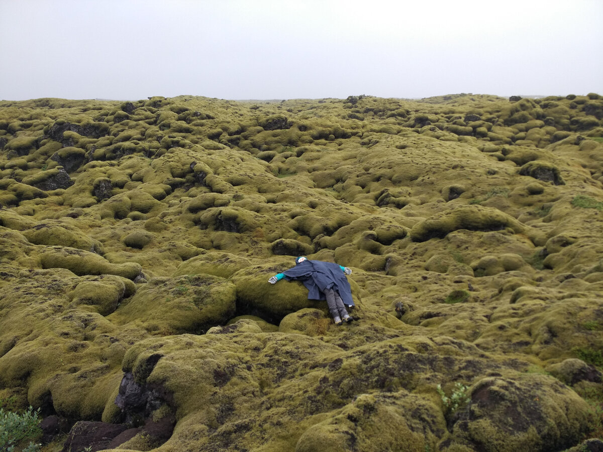 Отдыхаю посреди бескрайних исландских мхов:)
