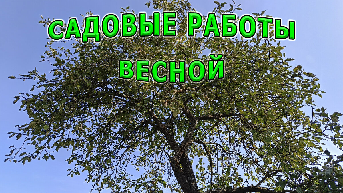 Работы в саду и на огороде.