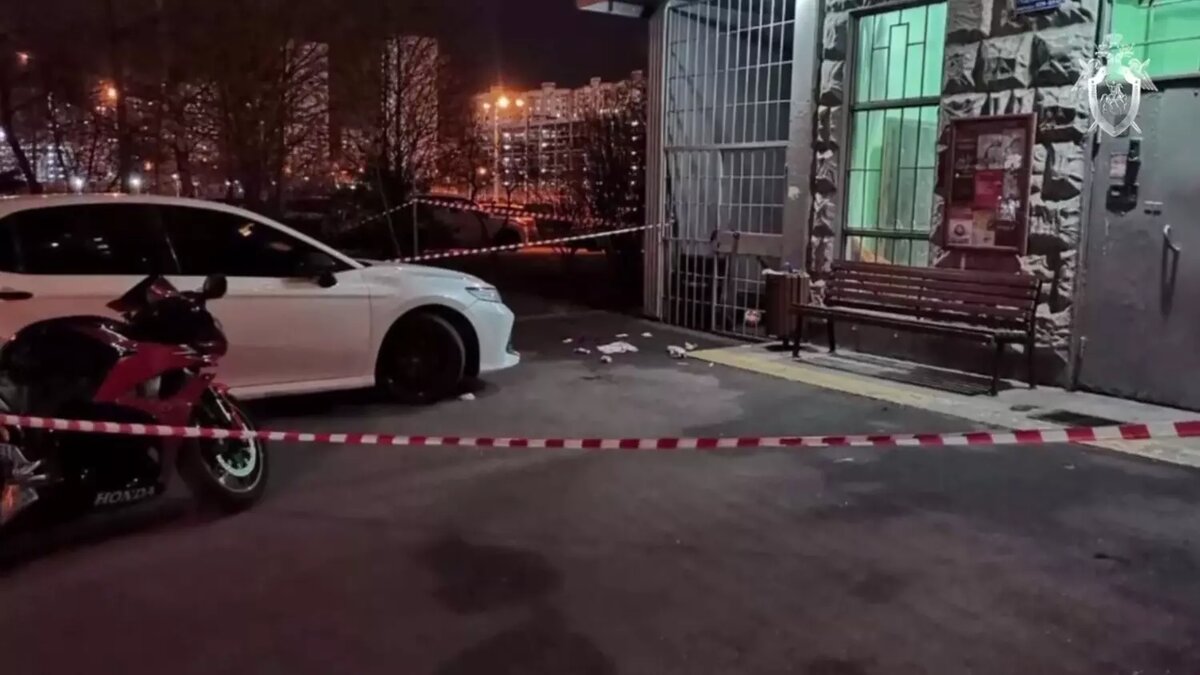     Источник: Стоп-кадр видео СК РФ