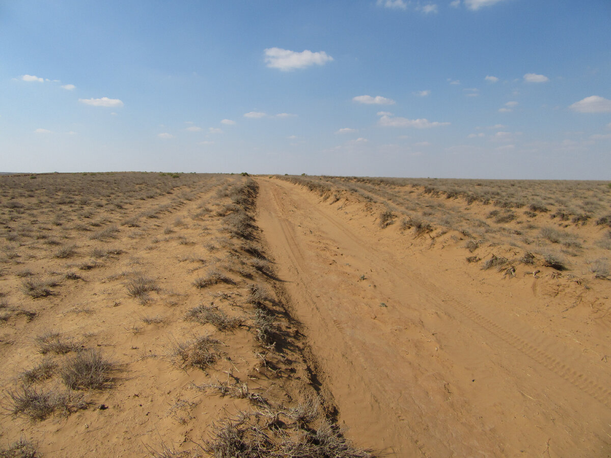 Дорога к "Большому брату"