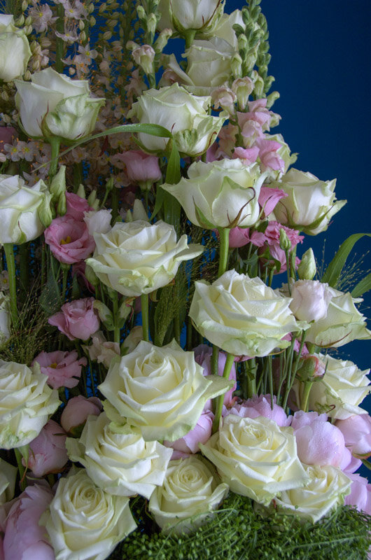 Фото Porta Nova 3